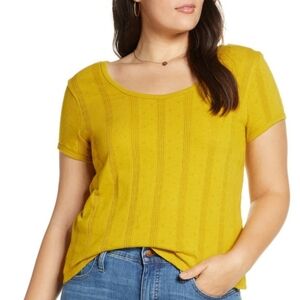 MADEWELL .Golden Meadow Pointelle Ribbed Short Sleeve  Scopp Neck  Top